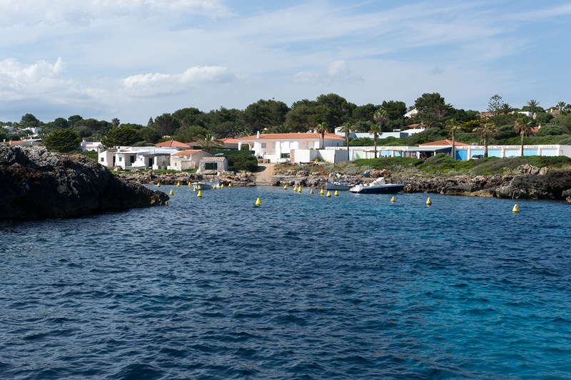 binisafuler